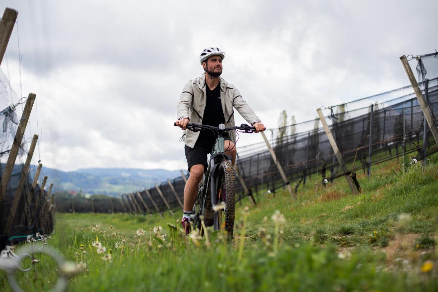 Mahorko Wein Wellness Wasserbueffel Glanz an der Weinstraße Eksteriør bilde